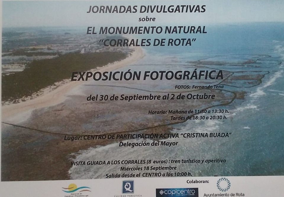 La Delegación del Mayor de Rota organiza una exposición y una fiesta baile con motivo del Día Internacional del Mayor